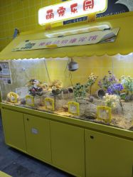 -神奇动物撸宠馆·羊驼·小浣熊·异宠(豫园店)