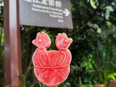 -亚龙湾热带天堂森林公园