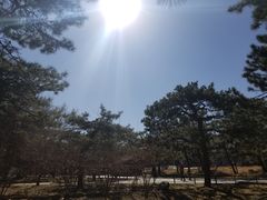 -北京植物园南门售票处