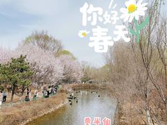 -长白岛森林公园