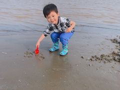 -南汇嘴观海公园