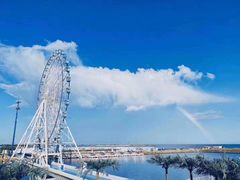 -秦皇岛乐岛海洋王国