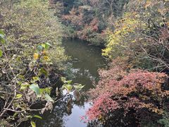 -敬亭山风景名胜区