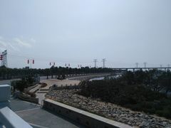 -宝安西湾红树林湿地公园