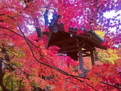 -常寂光寺