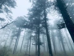 -秦岭风景区