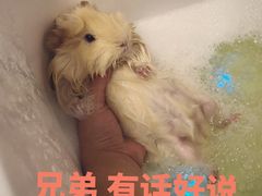 -藦茜花园宠物主题亲子互动体验馆(国顺东路店)