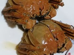 -呼吸森林·生态农庄农家乐私房菜