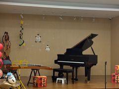 -珠江钢琴艺术中心(文一路店)