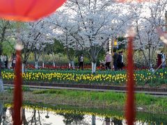 -长田漾湿地公园