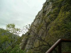 android_upload_pic-陕西省红河谷森林公园