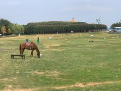 -武汉紫薇都市田园