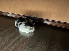 -泰·菩提树下[泰式按摩x精油SPAx肩颈头疗](新景店)