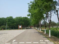 -东郊湿地公园