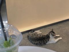 -MQ COFFEE STAND明谦(新洲店)