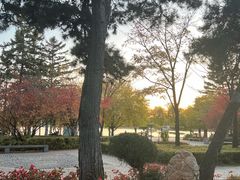 -长春市南湖公园