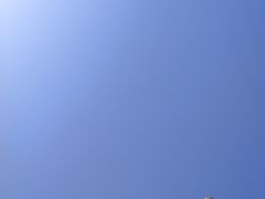 -盐城丹顶鹤湿地生态旅游区