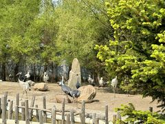 -齐齐哈尔龙沙动植物园