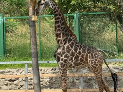 -水上乐园·欢乐世界