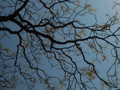 -北京鹫峰国家森林公园