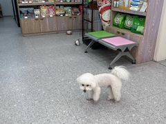 -四月宠物医院·猫专科·心脏专科·内科(转塘店)