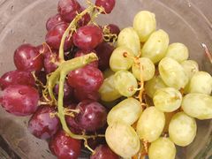 -Patagonia Chocolates(皇后镇店)