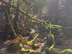 -山叶口景区