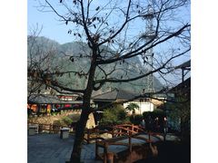 -藏龙百瀑风景区