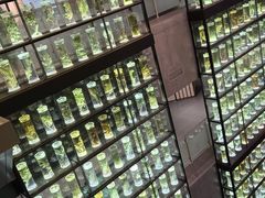-广东中医药博物馆