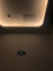 -伊然美产后恢复中心(海珠妇幼店)
