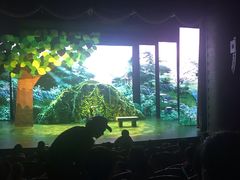 -青话小剧场