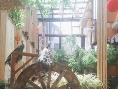 -大理董·董家小厨野生菌火锅(古城旗舰店)