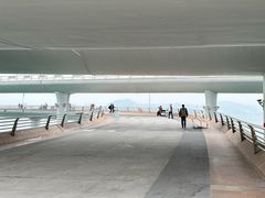 -演武大桥观景平台