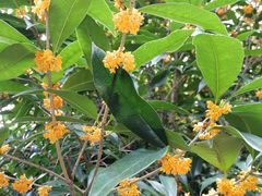 -青芝山风景名胜区
