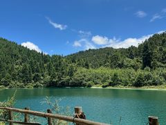 -武陵山森林公园