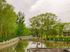 -廊坊市自然公园