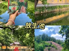 -新昌大佛寺文化旅游区