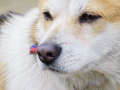 -义乌之心城市生活广场(新马路店)