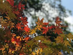 -杭州半山国家森林公园