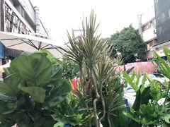 -野萃山·潮汕厚果汁(十亩地店)