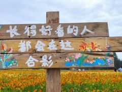 -汉长安城未央宫国家考古遗址公园