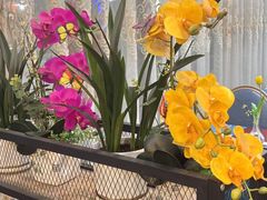 -西单元牛排馆(长安大学城店)