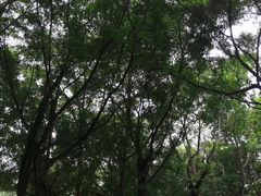 -水濂山森林公园