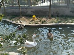 -水绘园