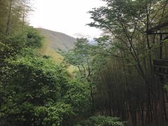 -藏龙百瀑风景区