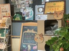 -御宝贝·A梦猫科宠物医院(国际猫友好医院)