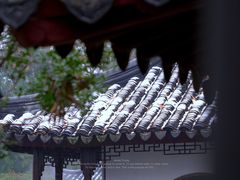 -拙政园