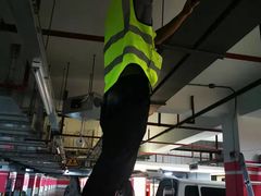 -TESLA 特斯拉(上海太古汇体验店)