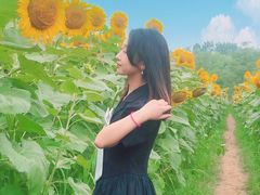 -奥林匹克森林公园北园-停车场