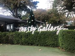 -网红落日悬崖餐厅 The Sky Gallery